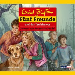 Fünf Freunde und das Teufelsmoor von Blyton,  Enid, Fendel,  Rosemarie