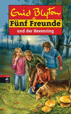 Fünf Freunde und der Hexenring von Blyton,  Enid, Christoph,  Silvia