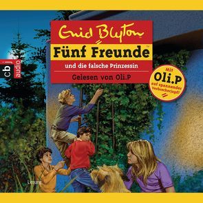 Fünf Freunde und die falsche Prinzessin von Blyton,  Enid, Petszokat,  Oliver