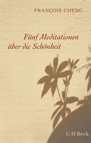Fünf Meditationen über die Schönheit von Cheng,  Francois, Klein,  Judith
