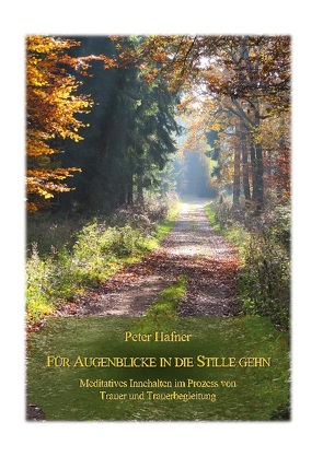 Für Augenblicke in die Stille gehn von Hafner,  Peter