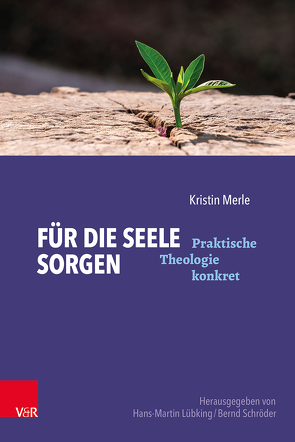 Für die Seele sorgen von Lübking,  Hans-Martin, Merle,  Kristin, Schroeder,  Bernd