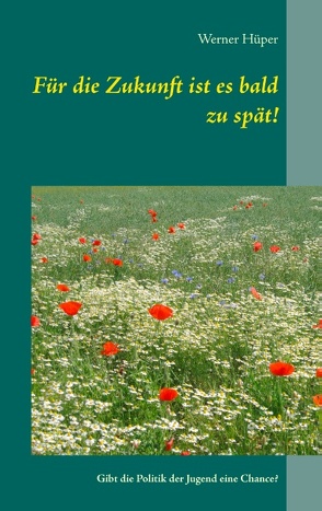 Für die Zukunft ist es bald zu spät! von Hüper,  Werner