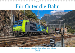 Für Güter die Bahn (Wandkalender 2021 DIN A3 quer) von Schulthess,  Stefan