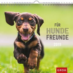 Für Hundefreunde 2019 von Groh Redaktionsteam