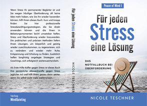 Für jeden Stress eine Lösung von Teschner,  Nicole