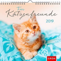 Für Katzenfreunde 2019 von Groh Redaktionsteam