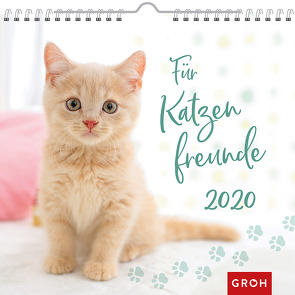 Für Katzenfreunde 2020: Dekorativer Wandkalender mit Monatskalendarium von Groh Redaktionsteam