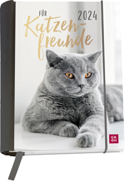 Für Katzenfreunde 2024 von Groh Verlag