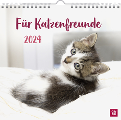 Für Katzenfreunde 2024 von Groh Verlag