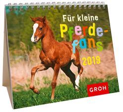 Für kleine Pferdefans 2019 von Groh Redaktionsteam