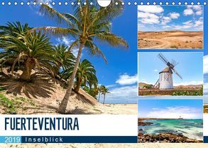 FUERTEVENTURA – Inselblick (Wandkalender 2019 DIN A4 quer) von Dreegmeyer,  Andrea