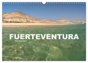 Fuerteventura (Wandkalender 2024 DIN A3 quer), CALVENDO Monatskalender von Schickert,  Peter