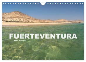 Fuerteventura (Wandkalender 2024 DIN A4 quer), CALVENDO Monatskalender von Schickert,  Peter