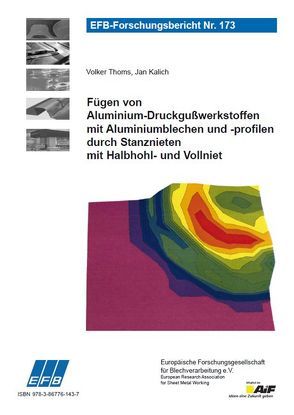 Fügen von Aluminium-Druckgußwerkstoffen mit Aluminiumblechen und -profilen durch Stanznieten mit Halbhohl- und Vollniet von Kalich,  Jan, Thoms,  Volker