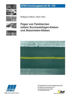 Fügen von Feinblechen mittels Durchsetzfügen-Kleben und Stanznieten-Kleben von Hahn,  Ortwin, Voelkner,  Wolfgang