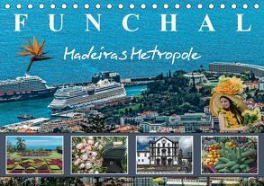 Funchal Madeiras Metropole (Tischkalender 2019 DIN A5 quer) von Meyer,  Dieter