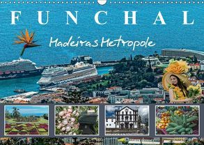 Funchal Madeiras Metropole (Wandkalender 2018 DIN A3 quer) von Meyer,  Dieter