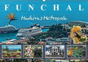 Funchal Madeiras Metropole (Wandkalender 2019 DIN A2 quer) von Meyer,  Dieter