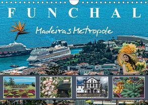 Funchal Madeiras Metropole (Wandkalender 2019 DIN A4 quer) von Meyer,  Dieter