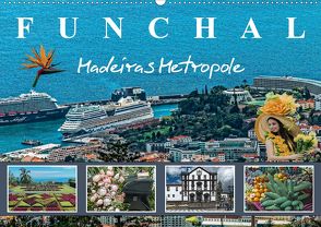 Funchal Madeiras Metropole (Wandkalender 2020 DIN A2 quer) von Meyer,  Dieter