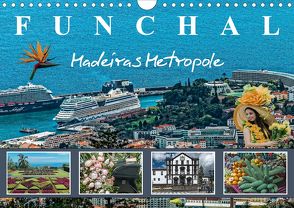 Funchal Madeiras Metropole (Wandkalender 2020 DIN A4 quer) von Meyer,  Dieter