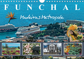 Funchal Madeiras Metropole (Wandkalender 2021 DIN A4 quer) von Meyer,  Dieter