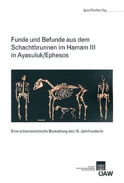 Funde und Befunde aus dem Schachtbrunnen im Hamam III in Ayasuluk/Ephesos von Pfeiffer-Tas,  Sule, Scheibelreiter,  Veronika