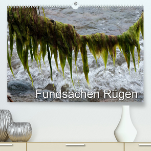 Fundsachen Rügen (Premium, hochwertiger DIN A2 Wandkalender 2022, Kunstdruck in Hochglanz) von Zinn,  Gerhard