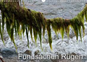 Fundsachen Rügen (Wandkalender 2022 DIN A3 quer) von Zinn,  Gerhard