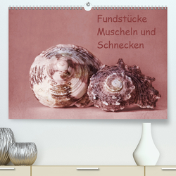 Fundstücke (Premium, hochwertiger DIN A2 Wandkalender 2021, Kunstdruck in Hochglanz) von Buch,  Monika