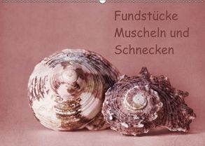 Fundstücke (Wandkalender 2018 DIN A2 quer) von Buch,  Monika