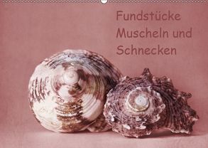 Fundstücke (Wandkalender 2019 DIN A2 quer) von Buch,  Monika