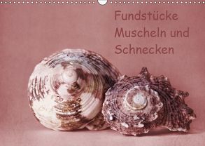 Fundstücke (Wandkalender 2019 DIN A3 quer) von Buch,  Monika