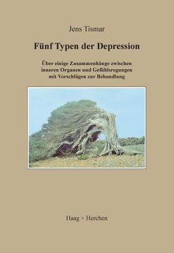 Fünf Typen der Depression von Tismar,  Jens