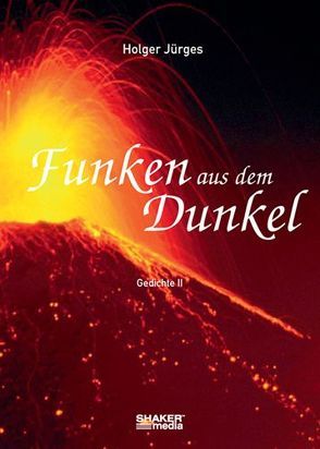 Funken aus dem Dunkel von Jürges,  Holger