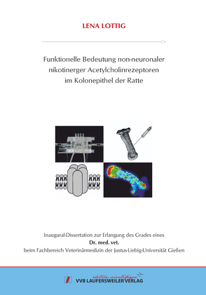 Funktionelle Bedeutung non-neuronaler nikotinerger Acetylcholinrezeptoren im Kolonepithel der Ratte von Lottig,  Lena