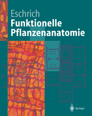 Funktionelle Pflanzenanatomie von Eschrich,  Walter