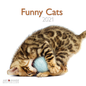 Funny Cats 2021 – Wand-Kalender – Broschüren-Kalender – A&I – 30×30 – 30×60 geöffnet