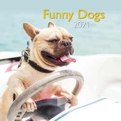 Funny Dogs 2021 – Wand-Kalender – Broschüren-Kalender – A&I – 30×30 – 30×60 geöffnet