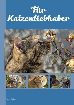 Für Katzenliebhaber von Burian,  Karin