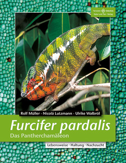 Furcifer pardalis – Das Pantherchamäleon von Lutzmann,  Nicolá, Müller,  Rolf, Walbröl,  Ulrike