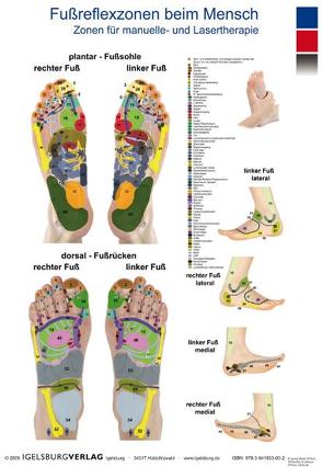 Fußreflexzonen beim Menschen – Zonen für manuelle- und Lasertherapie von Igelsburg Verlag