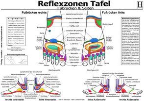 Fussreflexzonen Tafel – Fussrücken & Seiten – A3 (laminiert) von Verlag Hawelka