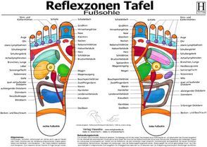 Fussreflexzonen Tafel – Fusssohle – A3 (laminiert) von Hawelka Verlag