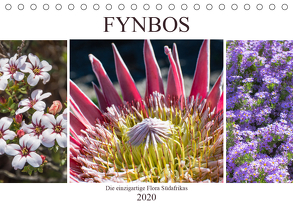 Fynbos – Die einzigartige Flora Südafrikas (Tischkalender 2020 DIN A5 quer) von Schröder,  Silvia