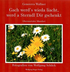 Gach werd’s wieda liacht, werd a Sterndl Dir gschenkt von Schlick,  Wolfgang, Wallner,  Genoveva