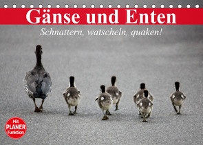 Gänse und Enten. Schnattern, watscheln, quaken! (Tischkalender 2023 DIN A5 quer) von Stanzer,  Elisabeth