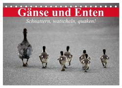 Gänse und Enten. Schnattern, watscheln, quaken! (Tischkalender 2024 DIN A5 quer), CALVENDO Monatskalender von Stanzer,  Elisabeth