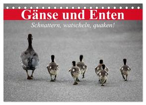 Gänse und Enten. Schnattern, watscheln, quaken! (Tischkalender 2024 DIN A5 quer), CALVENDO Monatskalender von Stanzer,  Elisabeth